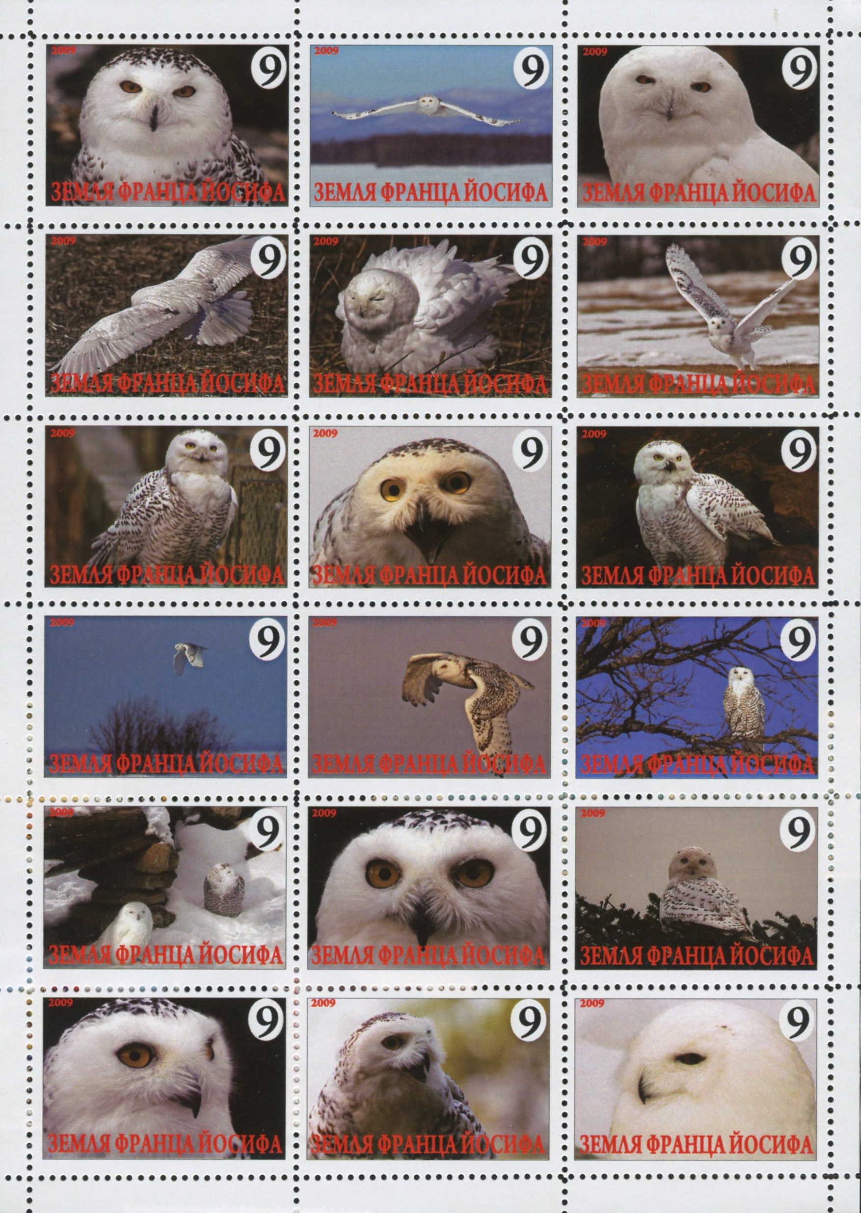 OWL BOGUS STAMPS FRANZ JOSEF LAND